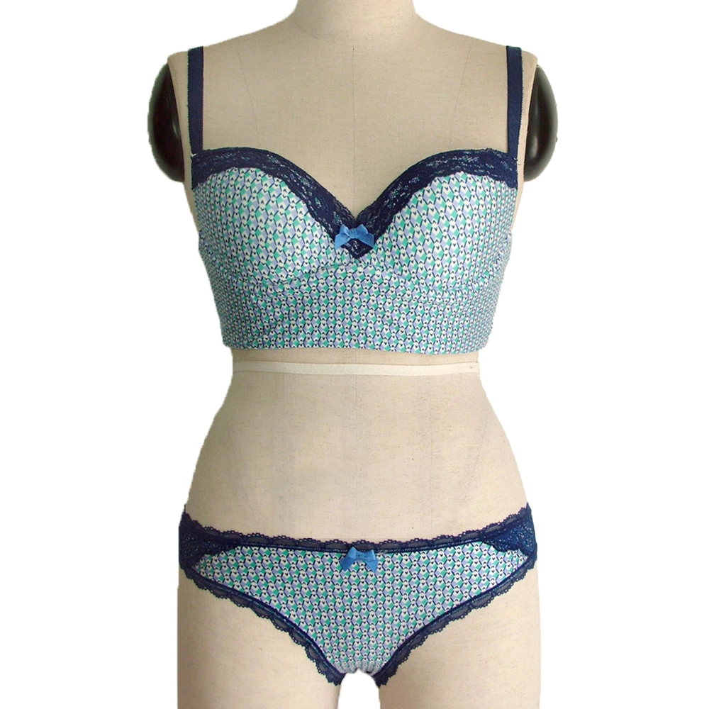Factory Direct Sale Underwear Sets Women Lace Bra with Bikini
