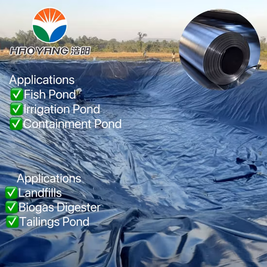 Woman′s Basic Tank Top Cami Black and White